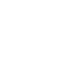 Form Icon